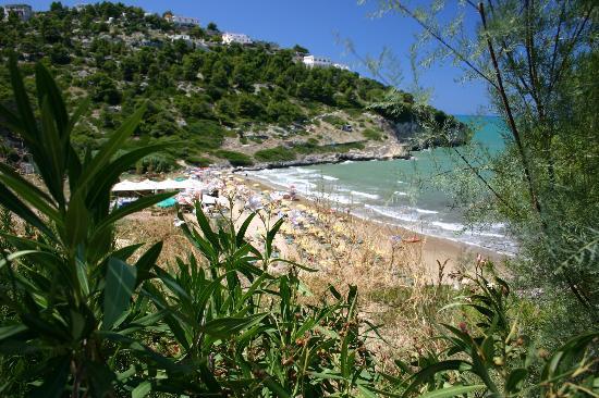 Gargano
